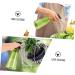 DOITOOL Spray Bottle Water Sprayer for Hair Water Mister for Plants Watering Spray Hand Pressure Sprayer Empty Press Pump Bottle Mist Sprayer The Solution Plastic Care - Buy Online on GoSupps.com