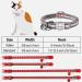 Buy Taglory Reflective Cat Collar 2-Pack with Safety Clasp & Bell | Adjustable 19-32cm Red Collars for Cats & Kittens - International Shipping Available! - Buy Online on GoSupps.com