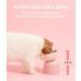 MS!MAKE SURE Elevated Ceramic Cat Bowl for Food and Water - Anti Vomiting & Whisker Fatigue Relief - Raised Tilted Cat Food Bowl for Indoor Cats in Green - Buy Online on GoSupps.com