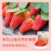 Ready to eat dried strawberry snacks Delicious and sweet strawberry dried Preserved fruit snack Fruit and vegetable sweets Healthy and nutritional vegetarian snacks Chinese food (1 bag) - Buy Online on GoSupps.com