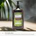  Arganicare Arganicare | Macadamia Range | REPAIRING SHAMPOO | With Organic Macadamia Oil | Cleanses & Protects | Fights Split Ends | High Hydration | 400 mL - Buy Online on GoSupps.com