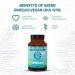 Sunwarrior Omega-3 Vegan DHA + EPA | 60 Softgels | Plant-Based Omega Supplement - Buy Online on GoSupps.com