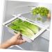 GLEAVI 2pcs Box Refrigerator Storage Box Household Dog Fridge Fruit Storage Holder Egg Carton Pull-out - Buy Online on GoSupps.com