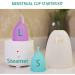 MR.A Menstrual Cup Starter Kit | Menstrual Cup Wash in 3 Mins | Nature Cup Holder & Disc Alternative | Travel-Friendly Period Cup Solution - Buy Online on GoSupps.com