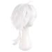 MapofBeauty 14 Inch White Men s Short Hair Ponytail Wig | Cosplay & Party Accessory - Buy Online on GoSupps.com