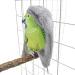 CONGGUAN Parrot Cozy Corner Nest Fleece Blanket for Parakeet Cockatiel Pigeon - Warm Bird Bed for Parrots - Buy Online on GoSupps.com