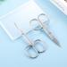 2Pcs Stainless Steel Curved Manicure Nail Scissors for Beauty - Ideal for Manicure, Pedicure, Eyebrows - Men and Women - Buy Online on GoSupps.com