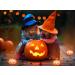Hitopin 4 Pieces Submersible LED Lights Waterproof Underwater Submersible Led Lights with Remote Control Waterproof Underwater Lights Pond Lights for Decorate Party Wedding Halloween Christmas - Buy Online on GoSupps.com