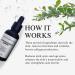 RAS Skin Renewing Serum - Antioxidant Rich Hyaluronic Acid & Peptides for Fine Lines Dark Spots & Dullness - Brighten & Strengthen Skin Barrier - 30ml - Buy Online on GoSupps.com