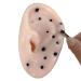 News ear-shaped blacksmith remover toys funny pimple-pop-stress reduction toys elasticity squeeze acne toy set with tweezers pimples popper toy for children and adults