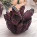 Home Decor 400-800g Natural Violet Quartz Crystal Cluster Crystals raw Gemstone for Home&Office Decoration fengshui Gifts Natural Crystal (Size : 500-600g) - Buy Online on GoSupps.com