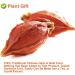 Flower 2 (80G-Gardenia Fruit) - Buy Online on GoSupps.com