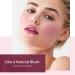 Allbesta Rouge Palette Blush - Peach Matte Powder Face Cheek Make-up (05#) | International Shipping Available - Buy Online on GoSupps.com