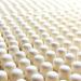 Bed of Roses Wax Melts Scented Soy DOTS- 200+ Hours of Eco Responsible Heavenly Skore Scents-Rice Paper Pouches Reduce Plastic Waste -100% Pure Soy Wax-Use in Your Favourite Candle Wax Melter - Buy Online on GoSupps.com