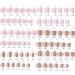 Convenient and Versatile French Manicure Nail Tips Quality Nail Art Tool for Fashionable Women - Buy Online on GoSupps.com