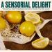 THE BODY SHOP Lemon Purifying Hand Wash INTENSELY CLEANSING HAND WASH PURIFY AND PROTECT SKIN - Buy Online on GoSupps.com