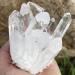 Natural Crystal Rough Natural Crystal Cluster Clear Quartz Crystal Cluster - Buy Online on GoSupps.com