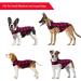 Kuoser Reversible Dog Winter Coat | British Style Warm Jacket for Small to Large Dogs | Windproof & Stylish Dog Vest in Red - Size Medium (Chest 17.3-20.9'') - Buy Online on GoSupps.com