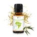 Lemon Eucalyptus Oil by Eucaliptus from Brazil - Pure Lemon Eucalyptus - 100% Pure Steam Distilled Natural Aceite de Eucalipto Lim n - Aromatherapy - Premium Therapeutic Grade (15ml) Lemon Eucalyptus 0.5 Fl Oz (Pack of 1)