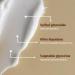 Vilvah STORE Ultra Moisturizing Cream - Olive Squalene & White Lily | 50ml | Nourishing Hydration for All Skin Types - International Shipping - Buy Online on GoSupps.com