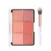 Yeweian 6 Colors Face Blush Palette  Matte Mineral Blush Powder for Cheek Lip and Eye Bright Shimmer Face Blush  Contour and Highlight Blush Makeup Palette with A Blush Brush (Set 01)