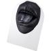 Buy Hamagi False Mouth - Flexible Soft Silicone Model for Educational & Simulation Displays | Perfect Teaching Aid - Buy Online on GoSupps.com