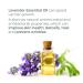 Riciniol Bright Eyes: Castor Oil Emulsion with Vitamin C & E, Lavender Essential Oil - 15ml for Eyelash & Eyebrow Growth - Buy Online on GoSupps.com