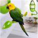 Cuttlebone Holder for Birds - 3 Pcs Parrot Stand with Plastic Cuddle & Bone Sticks - Ideal for Parrots Parakeets & Finches (Green) - International Shipping - Buy Online on GoSupps.com
