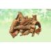 Ashoka Chaal-Saraca indica-Raw Herbs-Chhal Ashoka-Chal Ashoka Bark-Single Herb (1000 Gram) - Buy Online on GoSupps.com