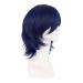 Mapofbeauty 14 inch Dark Blue & Black Short Cosplay Anime Wig with Pony Wolf Tail - Synthetic Hair for Parties - Buy Online on GoSupps.com