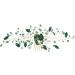 Hicollie Bridal Hair Comb Wedding Hair Clips Womens Hair Accessories Green Hair Accessories Green Crystal Hair Vine Comb Wedding Hair Accessory for Bride Bridesmaid Girls - Buy Online on GoSupps.com