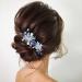 Bride Wedding Blue Crystal Hair Pins - Rhinestone Bridal Headpieces for Women - Pack of 2 - Buy Online on GoSupps.com