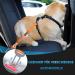 Slowton 2-in-1 Dog Car Belt | Adjustable Headrest Retention Bucket & Reflective Rubber Band | Universal Buckle - B.Orange (2PCs) - Buy Online on GoSupps.com