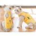 Pet Cat Recovery Suit Abdominal Wounds or Skin Diseases Costume Suit Surgical Clothes for After Surgery Wear (M:Yellow) M-Back length:10.6in Yellow - Buy Online on GoSupps.com