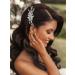 Catery Crystal Bride Wedding Hair Combs Sliver Bridal Hair Piece Pearl Hair Clips Hair Accessories for Women and Girls (A Silver)