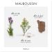 Mauboussin - Pour Lui 100ml (3.3 Fl Oz) - Eau de Parfum for Men - Fern & Modern Scents Fern & Modern 3.3 Fl Oz (Pack of 1) - Buy Online on GoSupps.com