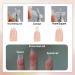 Goiern False Nail Clippers with Magnets | Professional Nail Trimmer & Cutters for Gel & Artificial Nails | Precision Manicure Tool - Buy Online on GoSupps.com