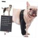 GANAZONO Dog Hindleg Cover Dog Knee Leg Canine Rear Hock Hind Leg Mesh Fabric Comfortable M 1 - Buy Online on GoSupps.com