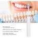 Buy Electric Waterproof Toothbrush | Leaning Tower of Pisa Design | Ideal for Home Use - Buy Online on GoSupps.com