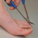 PETA Easi-Grip Long Reach Toe Nail Cutter Ergonomic Long Loop Handle That Fits Comfortably On Hand Extended Length Gives Extra Reach Ideal for Anyone with Weak Hands Poor Grip or Tremors - Buy Online on GoSupps.com