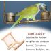 NA 2 Pcs Bird Mirror Parrot Hanging Swing Bird Swing Hanging Toy for Parakeets Conures Cockatiels Macaw - Buy Online on GoSupps.com
