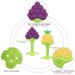 SLGOL Baby Teething Toys - Soft Silicone Fruit Pattern BPA Free 4 Pack for Babies & Toddlers | International Shipping - Buy Online on GoSupps.com