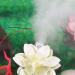 POPETPOP Atomizing Heads Automatic Mist Maker 5pcs Fogger Fountain Pond Fog Machine Head 16mm Air humidifier White 12 2CM - Buy Online on GoSupps.com