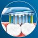 Philips Sonicare Premium Plaque Defense Brush Heads - 4 Pack | Compatible with All Sonicare Handles - Buy Online on GoSupps.com