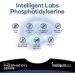 Buy Intelligent Labs Phosphatidylserine 100mg - 90 High Strength Capsules | Soy & Allergen Free | Pure Sunflower Lecithin Supplement - Buy Online on GoSupps.com