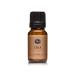 P&J Trading Fragrance Oil | Cola Oil 10ml - Candle Scents for Candle Making Freshie Scents Soap Making Supplies Diffuser Oil Scents