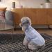 Turtleneck Dog Jumper Fall Winter Sweater Knitted Pet Pullover Soft Warm Pets Clothes Outfit for Small Medium Dogs Elastic Comfortable Dog Sweater Coat for Indoor Outdoor(SIZE:M) - Buy Online on GoSupps.com