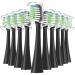 Sonic Replacement Toothbrush Heads Compatible with Waterpik Complete Care 9.0 (CC-01) 5.0 (WP-862) Electric Toothbrush Soft Bristle 10 Count (Black)