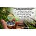 OakiWay God's Path Compass - Religious Gifts for Men | Baptism, Communion, Confirmation, Graduation | Personalized Wooden Case - Buy Online on GoSupps.com