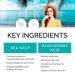 Sea Beauty Hydrating Night Face Mask with Hyaluronic Acid - 6 fl oz - Buy Online on GoSupps.com